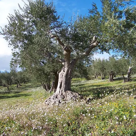 Holiday home Casa Vacanza Carmine *